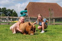Freiluftspielplatz Overijssel Holland