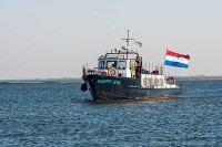 Robben beobachten im Wattenmeer Holland