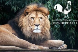 Tierpark Hoenderdaell