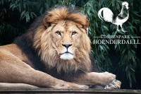 Tierpark Hoenderdaell