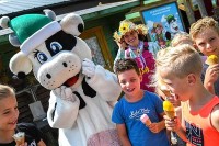 Drentse Koe Eis Holland