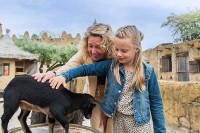 Aktivitäten WILDLANDS Adventure Zoo Holland