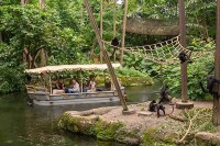 Besonderen Tierpark in Holland besuchen