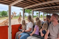 WILDLANDS Adventure Zoo Emmen ist ein moderner Tierpark in der niederländischen Provinz Drenthe