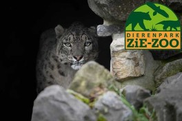 Tierpark ZiE-ZOO