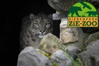 Tierpark ZiE-ZOO