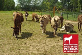 De Koperen Ezel /Ausflug in die Veluwe mit der gesamten Familie. 