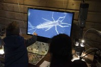 Moderner Zoo in Holland