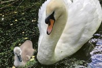 Tierpark in den Niederlanden