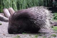 Freizeitpark Limburg Niederlande