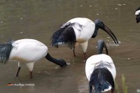 Freizeitpark Niederlande